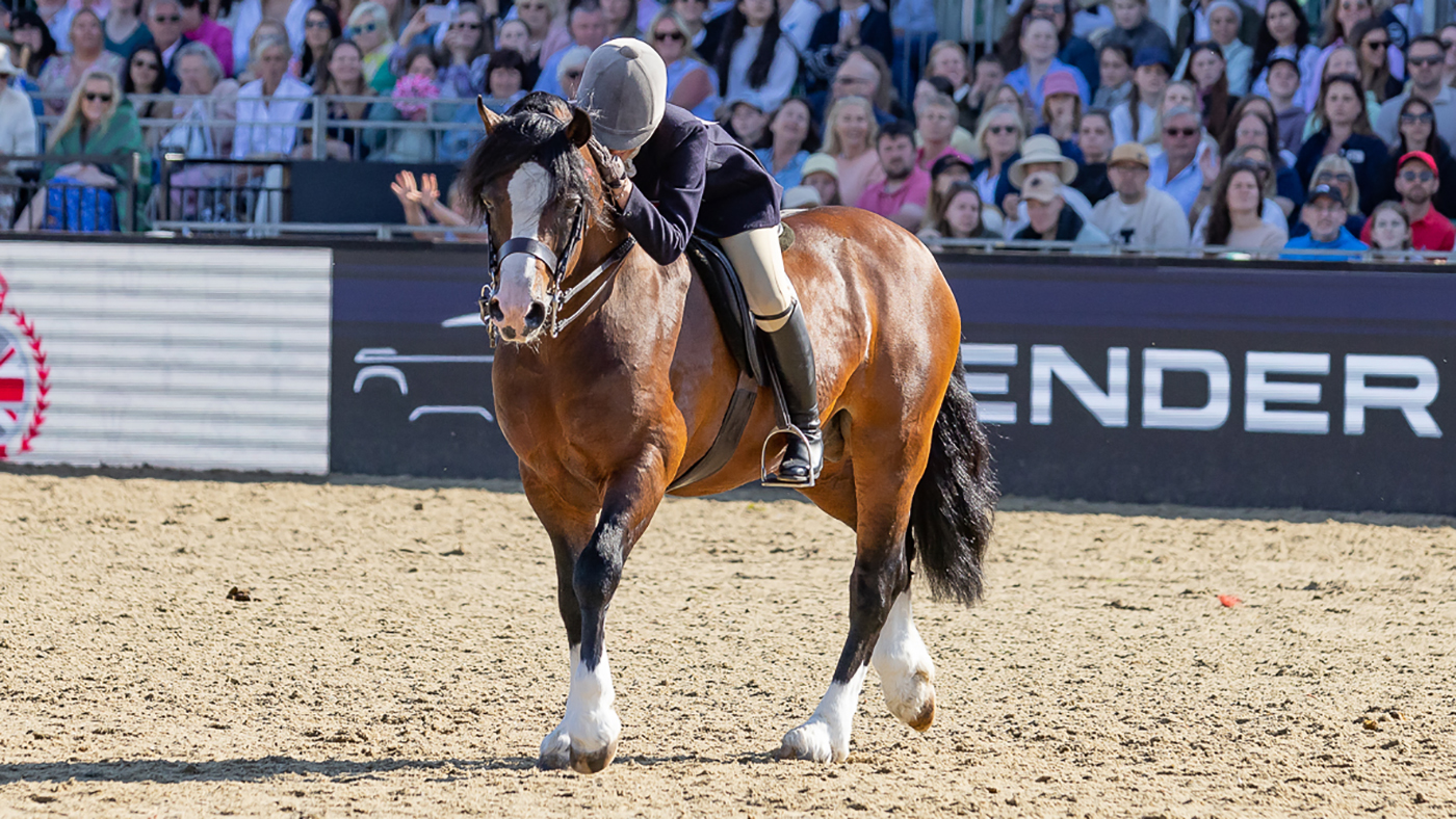 April Gilmartin and Welsh section C Gems Malt Whiskey are crowned M&amp;amp;M ridden champions at Royal Windsor Horse Show