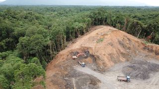 Deforestation: Facts, causes & effects