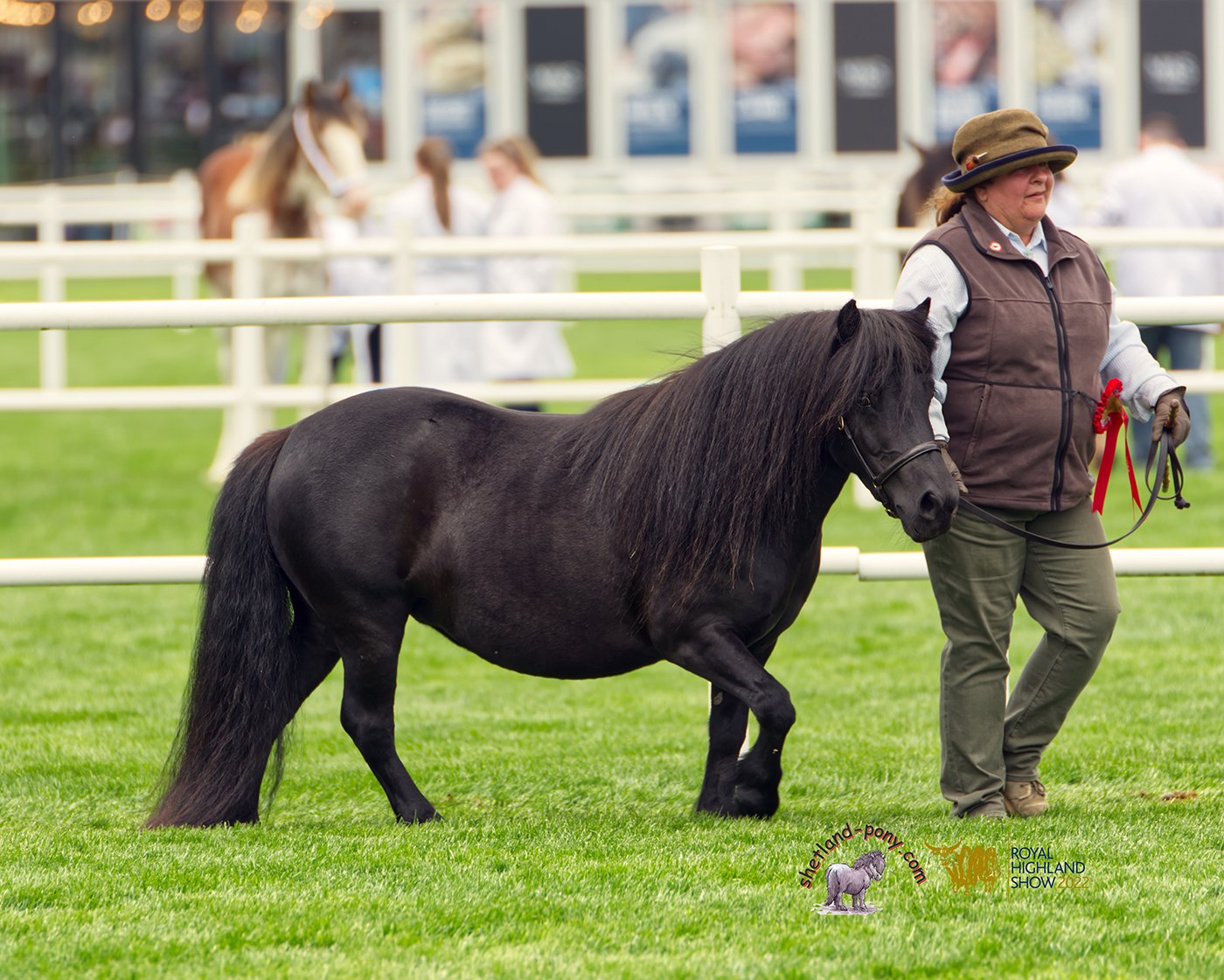 Melland-Queen-of-Scots-RHS-2022-2-1.jpg