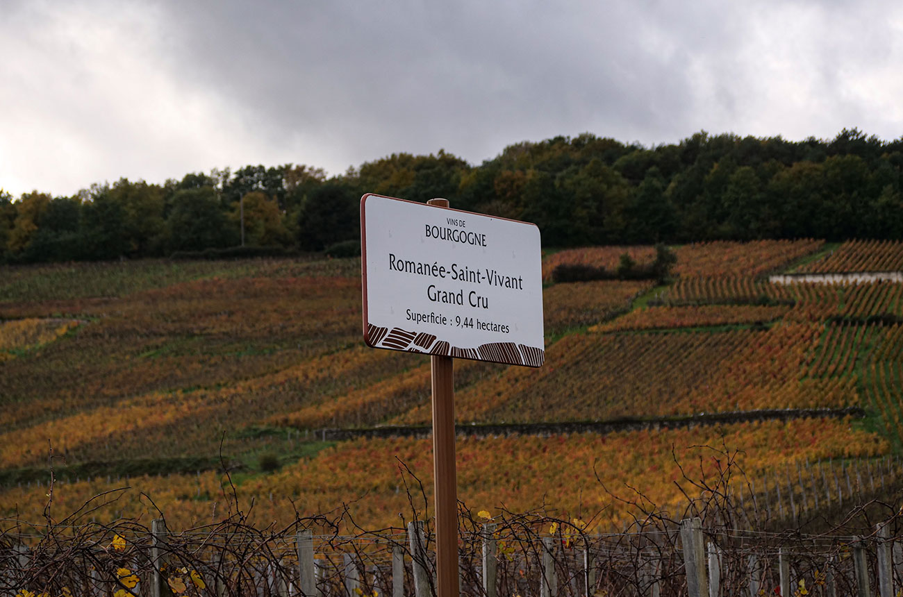 Vosne-Roman&amp;eacute;e 2024