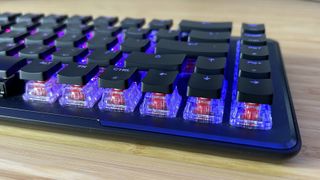 Roccat Vulcan II Mini Air switches and keycaps from navigation row