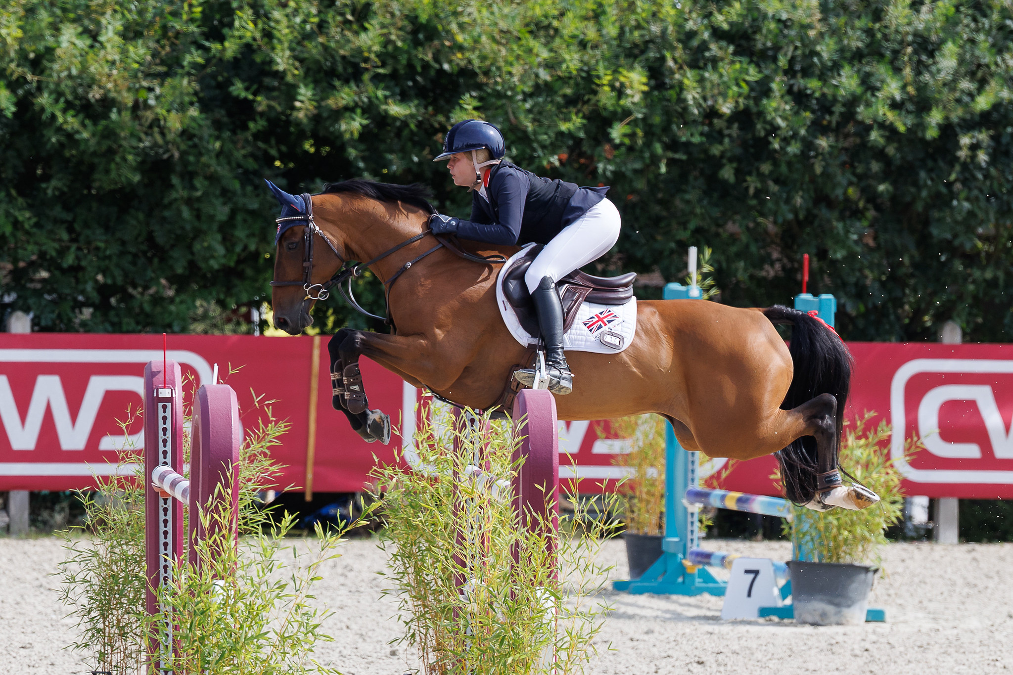 Sophia Rogers and Neil 55 win double gold at the 2026 pony European Championships in Le Mans, France.