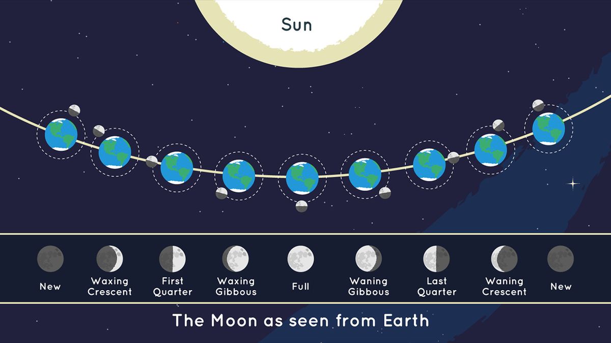 Full moon 2024 When to see all 12 full moons this year — and what they