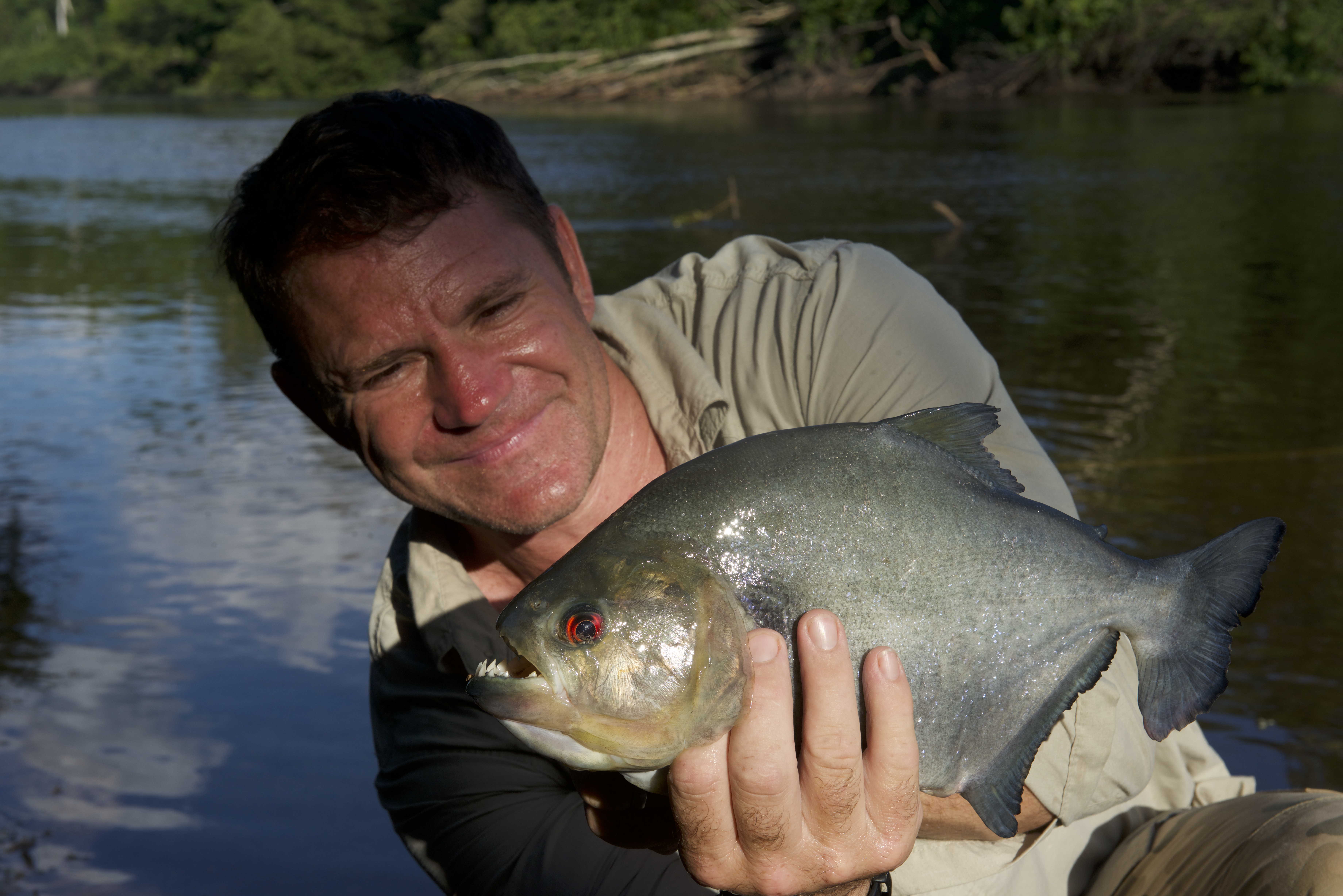 steve backshall dinosaurs