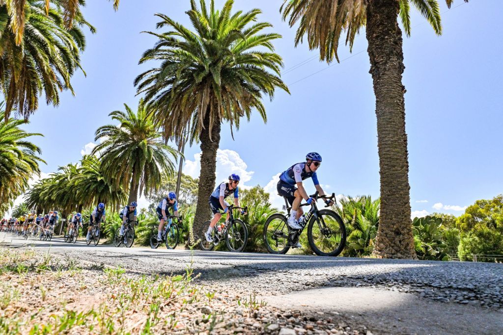 The peloton rides through the Barossa Valley