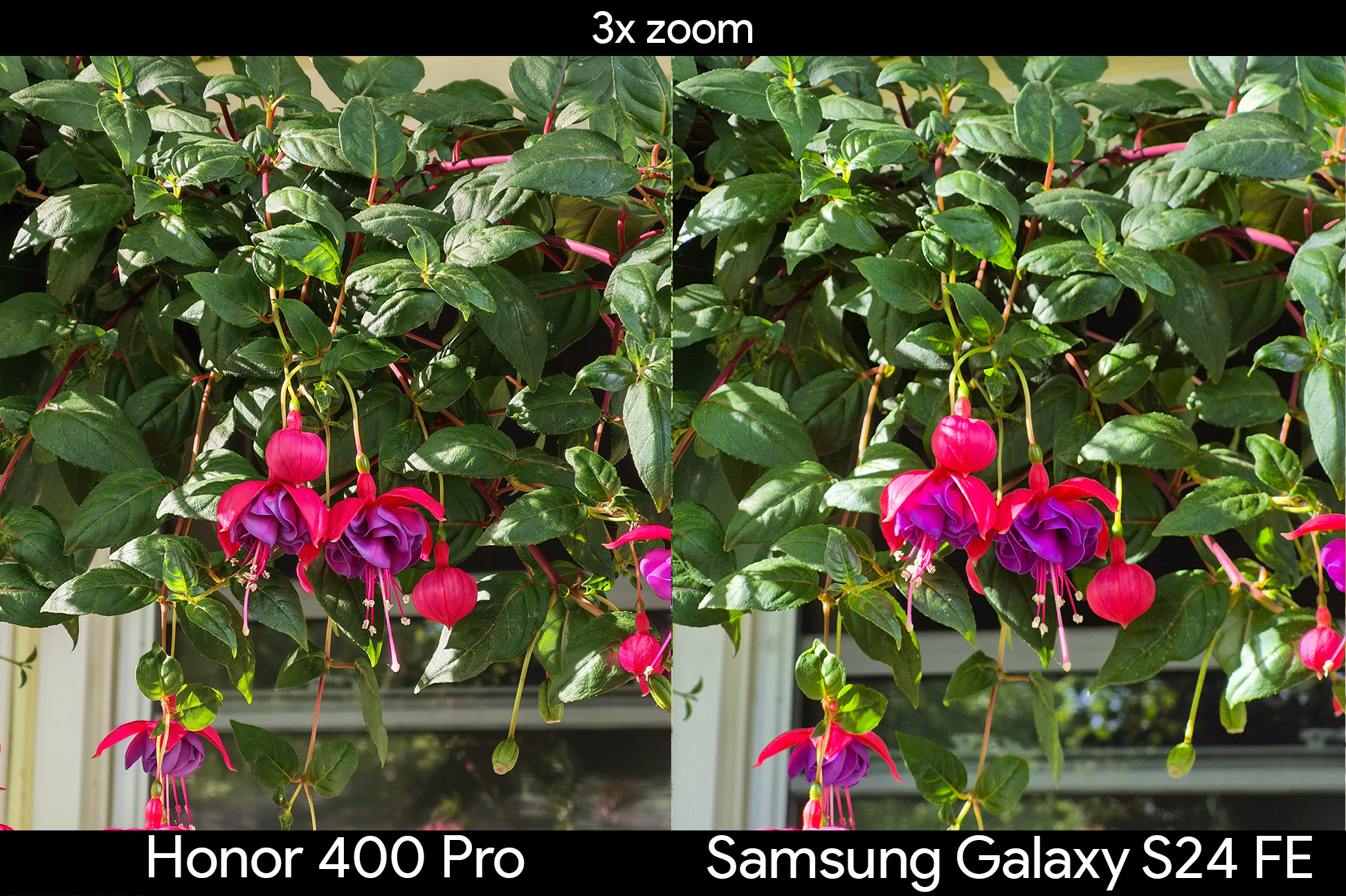 Telephoto zoom camera samples from the Honor 400 Pro vs Samsung Galaxy S24 FE