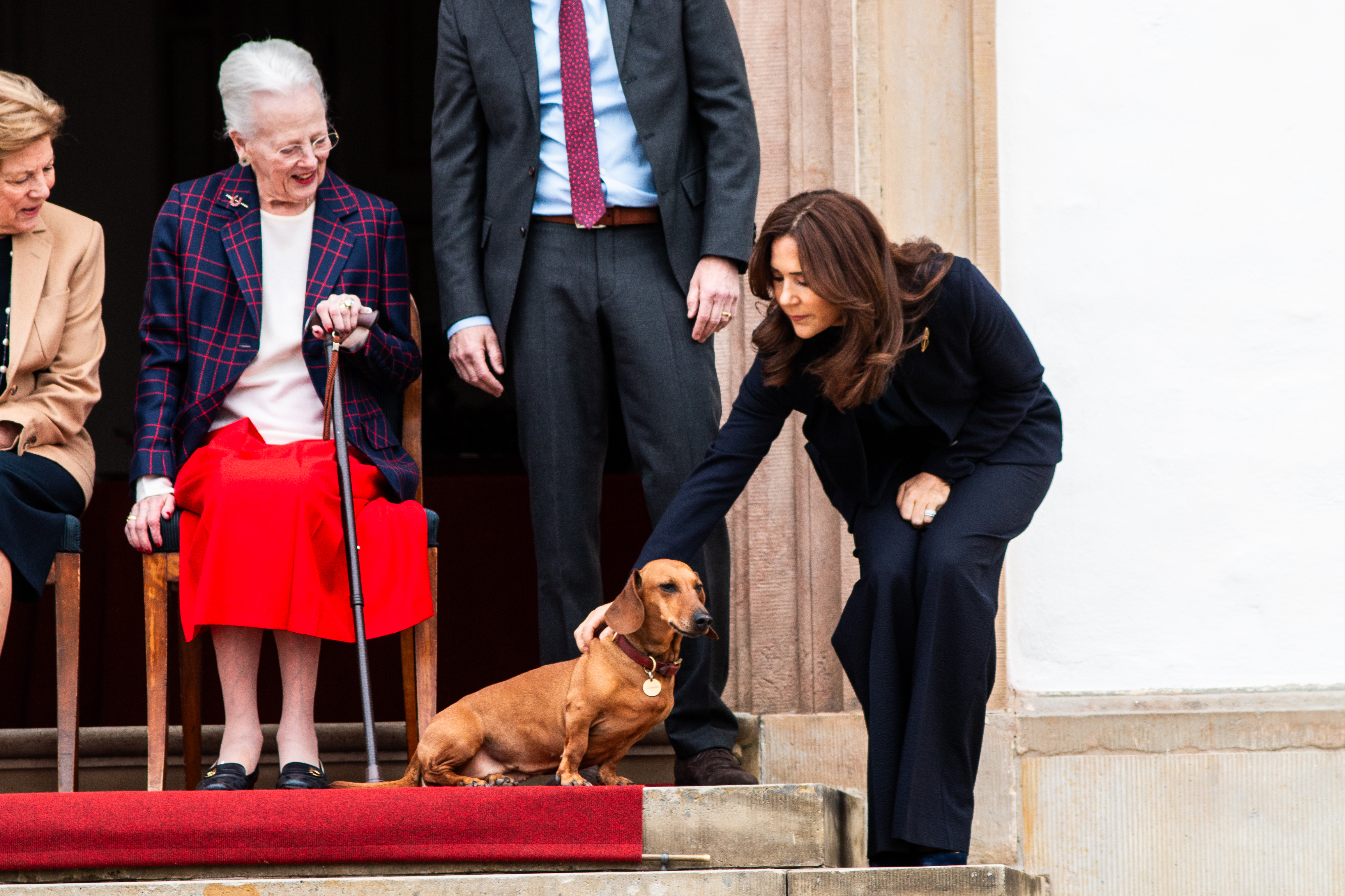 Queen Mary of Denmark and Tilia, Queen Margrethe of Denmark's dachshund, attend the celebration of Queen Margrethe's 86th birthday (Photo by Kristian Tuxen Ladegaard Berg/NurPhoto)