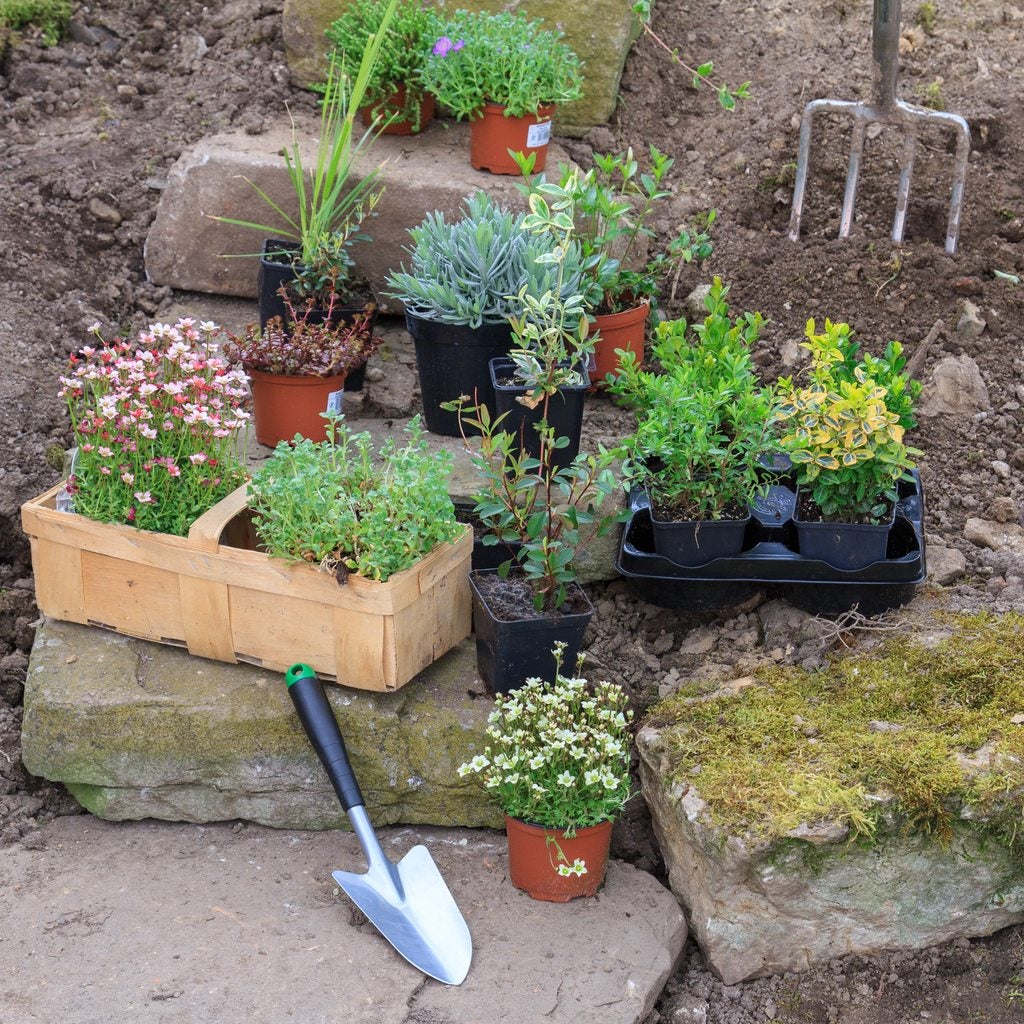 zone 5 rock garden