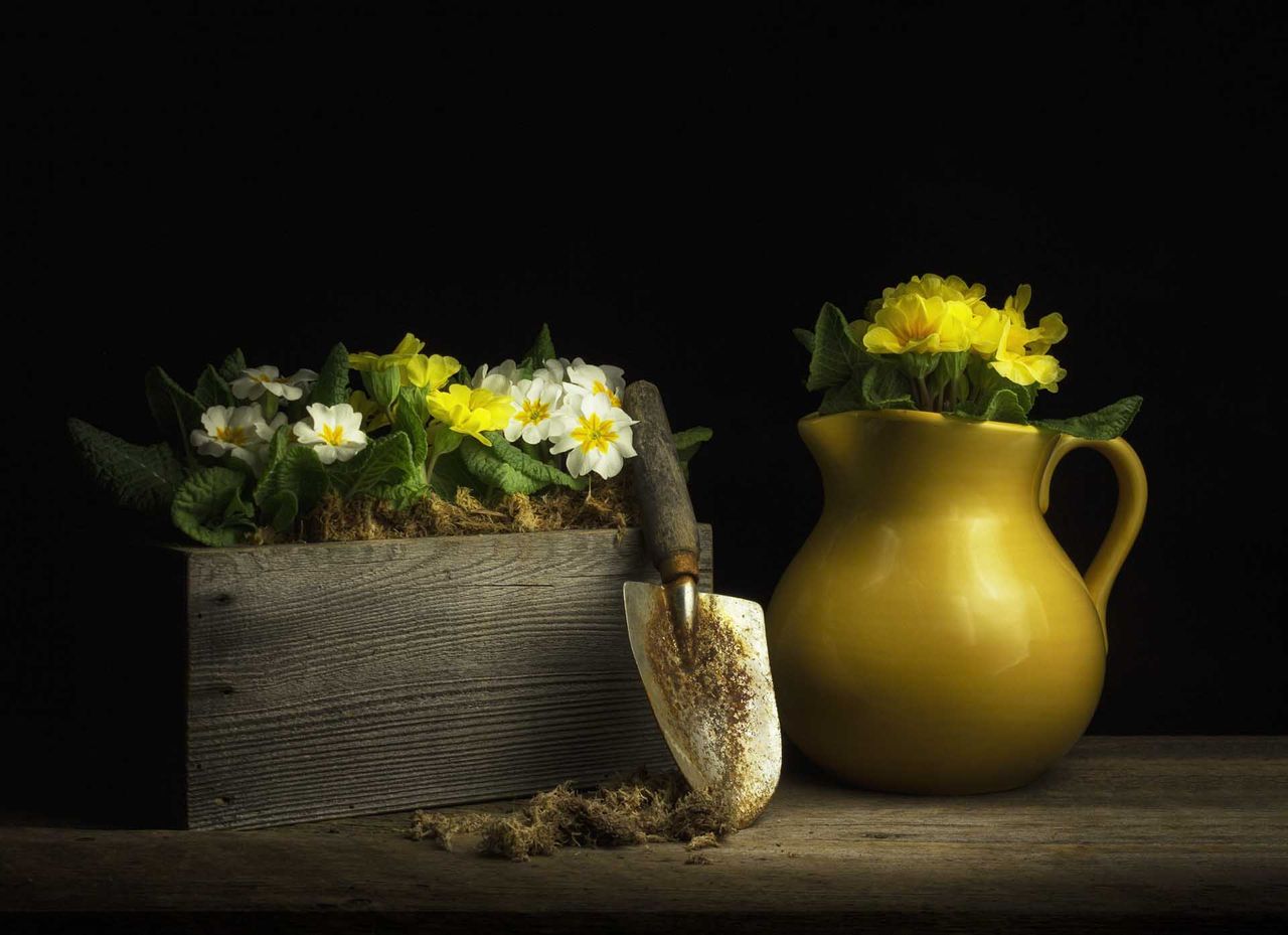 Image from the SheClicks exhibition at the Photography &amp; Video SHow 2025