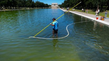 A U.S. National Park Service employee uses a vacuum pump to clean algae off the bottom of the newly repainted Lincoln Memorial Reflecting Pool on the National Mall