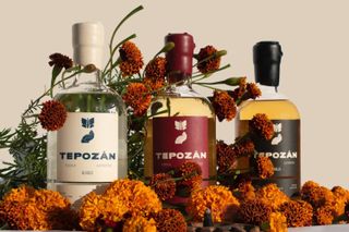 Three bottles of Tepozan tequila in Blanco, Reposado, and Anejo flavours. The bottles are surrounded by orange and brown flowers