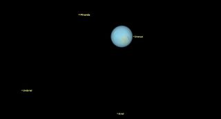 a pale blue uranus hangs above right of center, labeled. Miranda, Ariel and Umbriel shine as small points, also labeled.