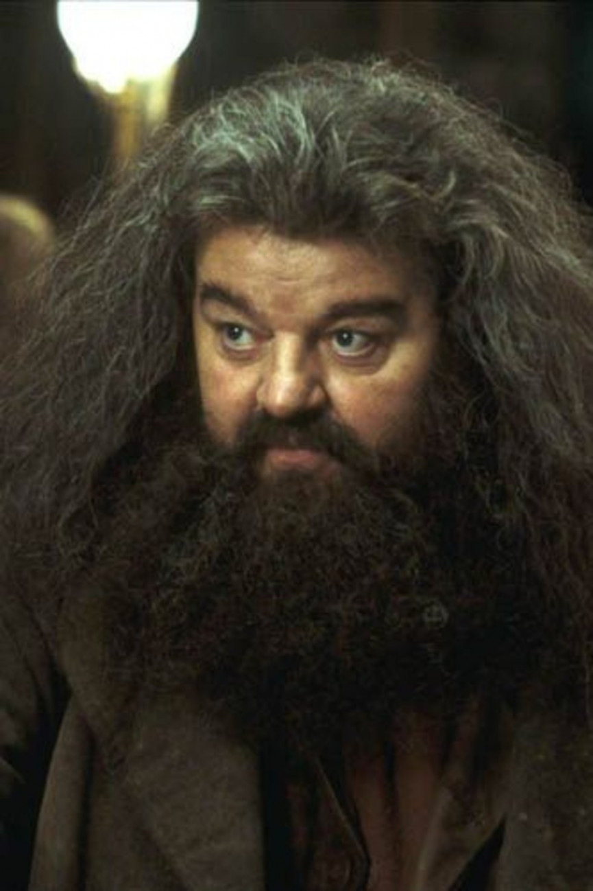 50-best-hollywood-beards-33-1556697858-ALGR-column-width-inline