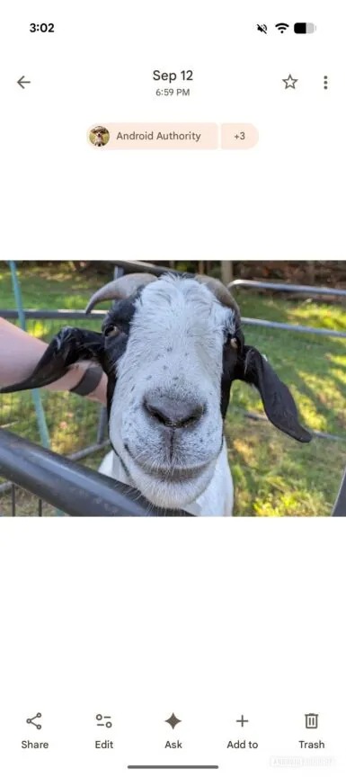 Ask button inside Google Photos photo viewer