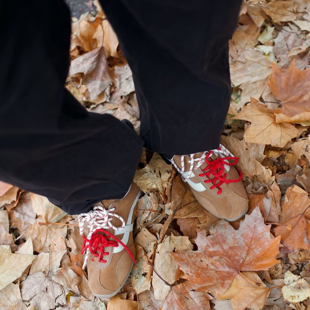 Alice Satterthwaite wears double lace trainers in a crop.
