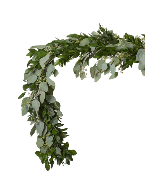 Live Ruscus & Seeded Eucalyptus Garland and Wreath