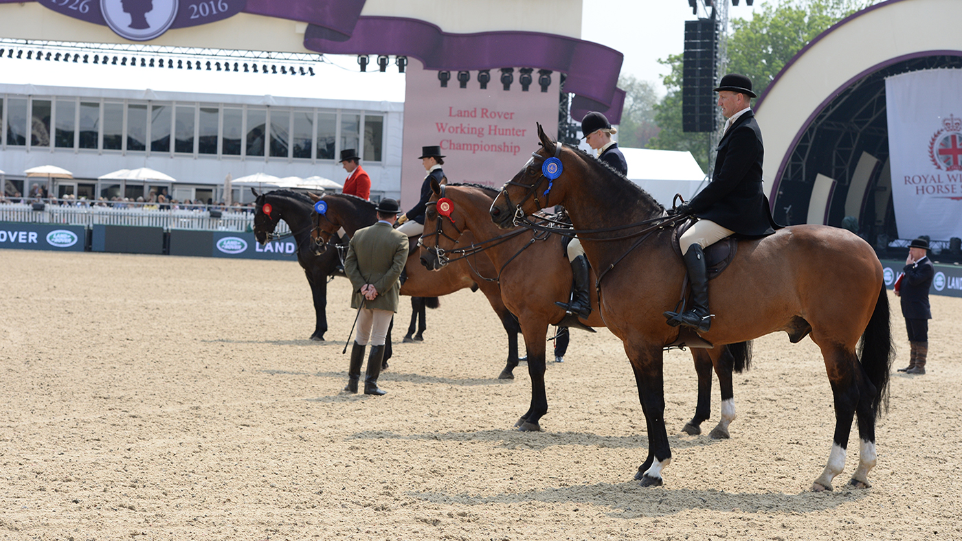 Anna Levy is judging the working hunter class at the 2022 Royal Windsor Horse Show