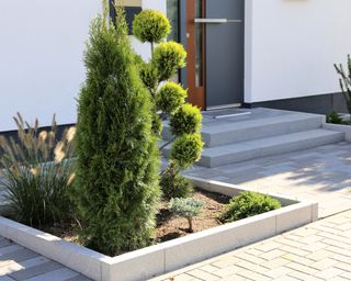 modern porch with block paving and topiary