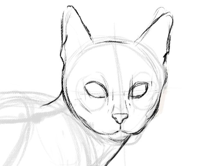 Featured image of post Easy Cat Drawing Reference