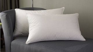 Westin feather & down pillow, from one of w&h's best hotel pillow brands