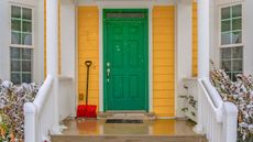 A green front door next to a snow shovel with snow on nearby foliage 