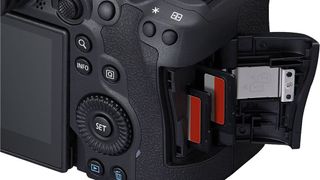 Canon R8 vs R6 Mark II: Canon EOS R6 II card slots