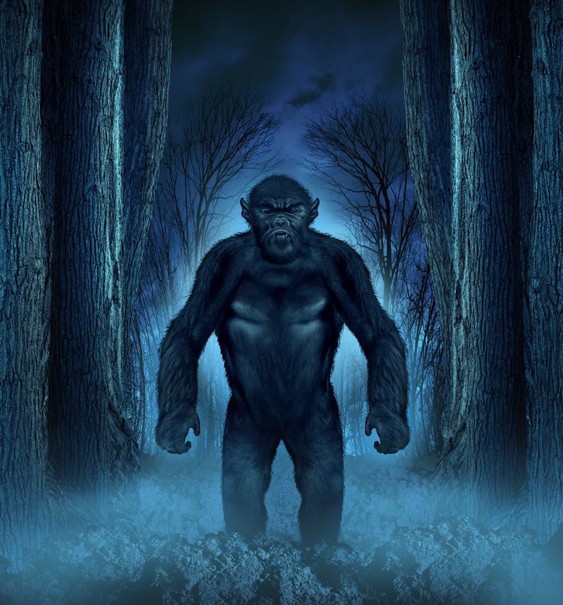 Rumor or Reality: The Creatures of Cryptozoology | Live Science
