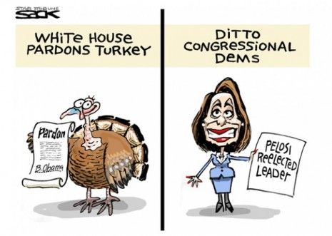 Pelosi&amp;#039;s pardon