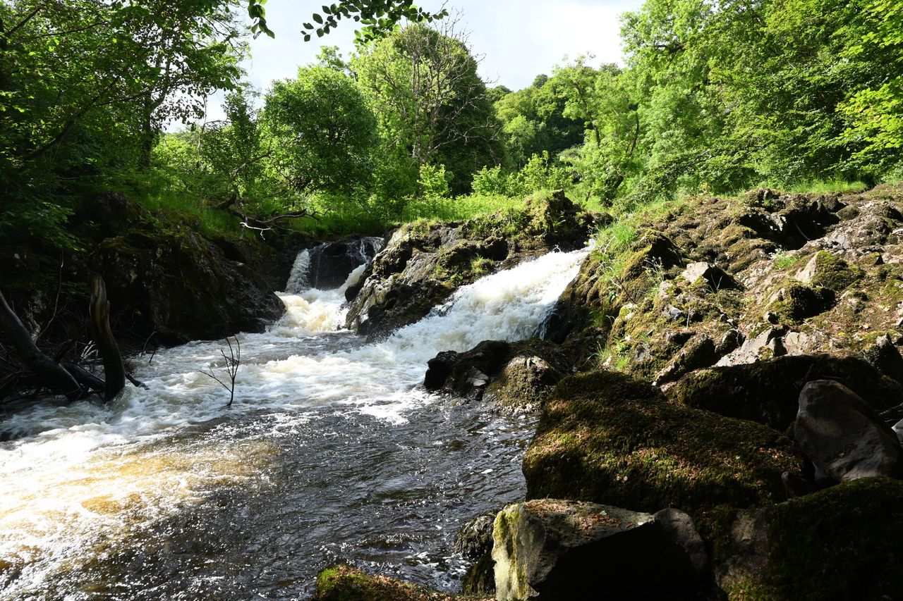 Pop down to your own waterfall with a cup of tea or glass of whisky and watch the salmon dance.