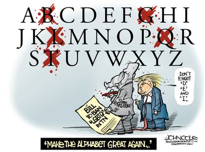 Political Cartoon