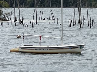 iPhone 13 Pro max review