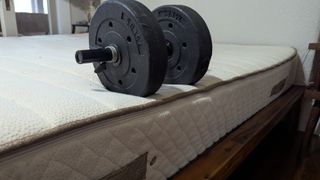 A dumbell resting on the edge of the PlushBeds Botanical Bliss mattress to show the edge support