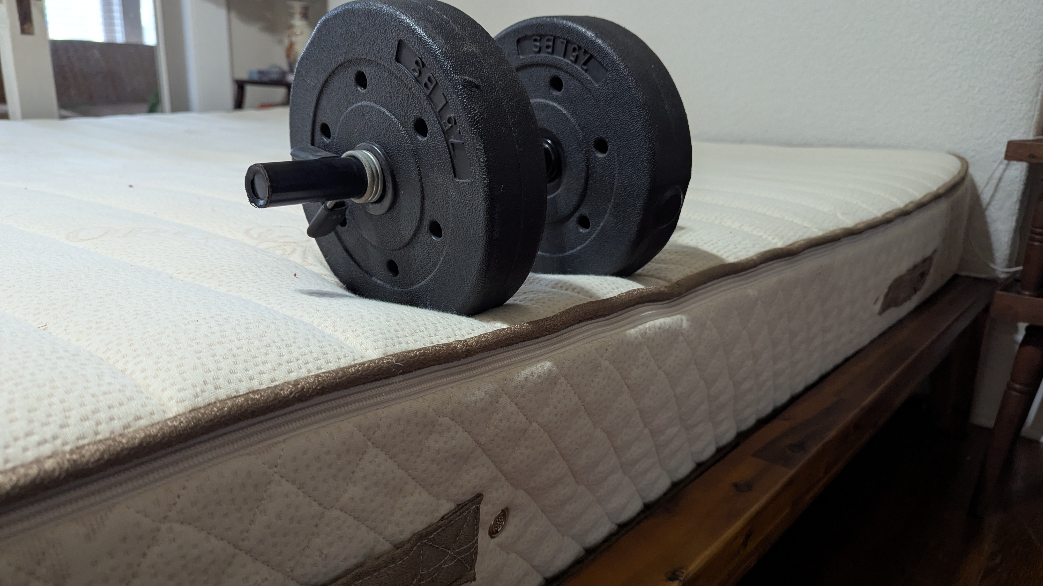 A dumbell resting on the edge of the PlushBeds Botanical Bliss mattress to show the edge support