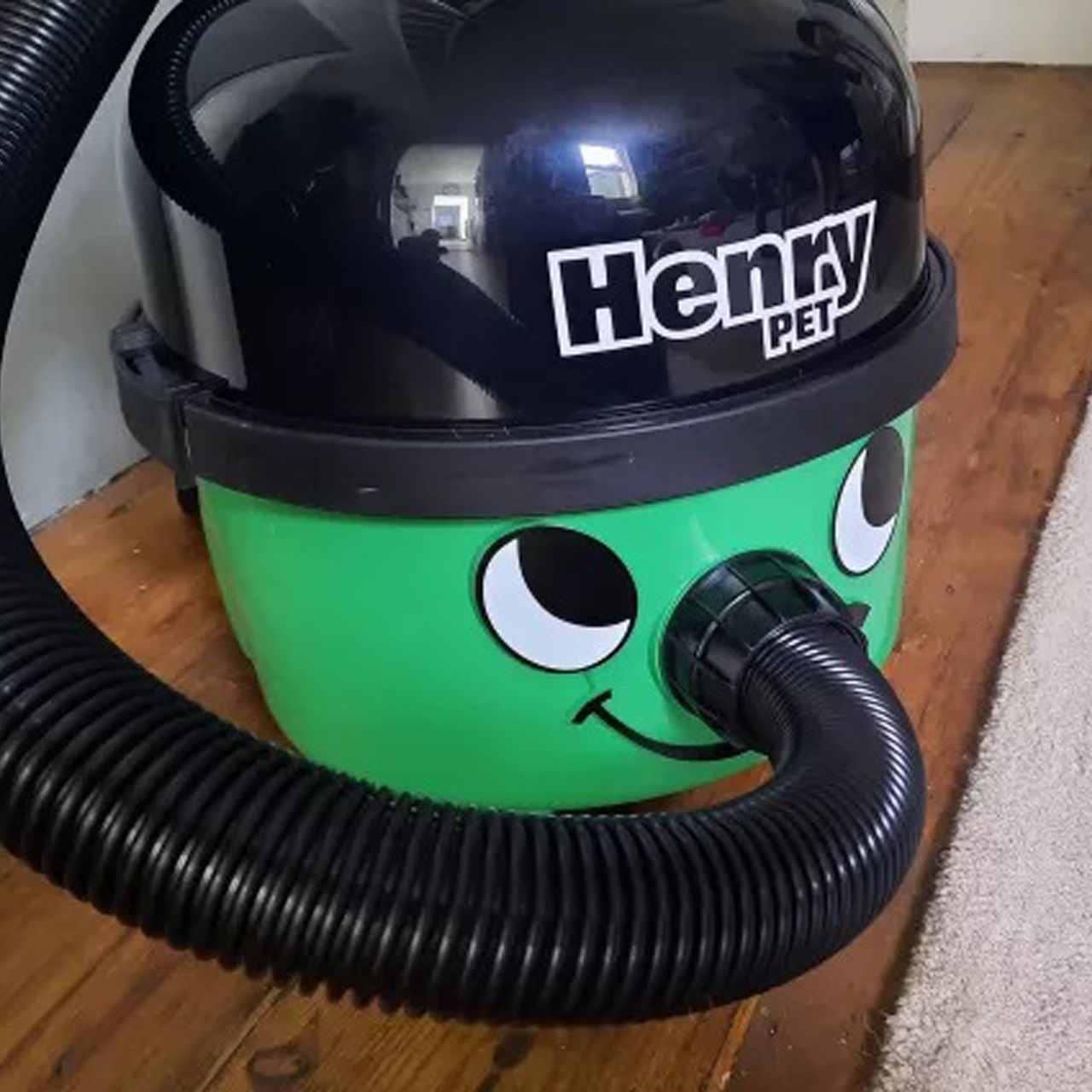 Testing the Henry PET vacuum cleaner at home