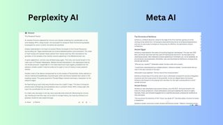 Perplexity vs Meta screenshot