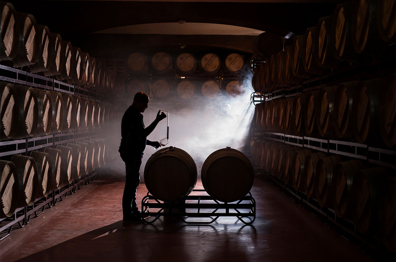 Bodegas Faustino barrels