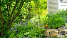 A pollinator friendly backyard with trees, shrubs, and perennial flowers on a low stone wall