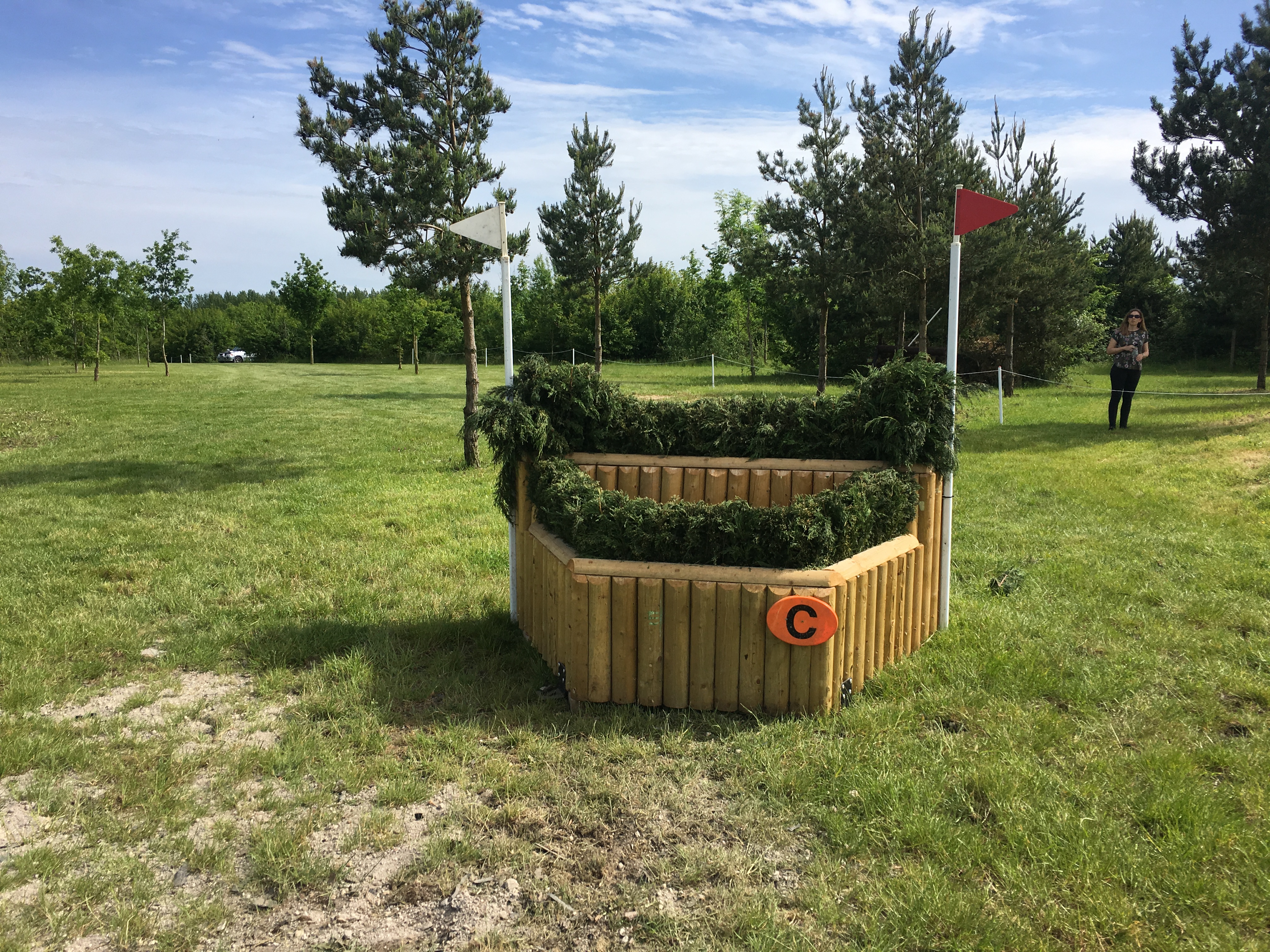 Fence 12C