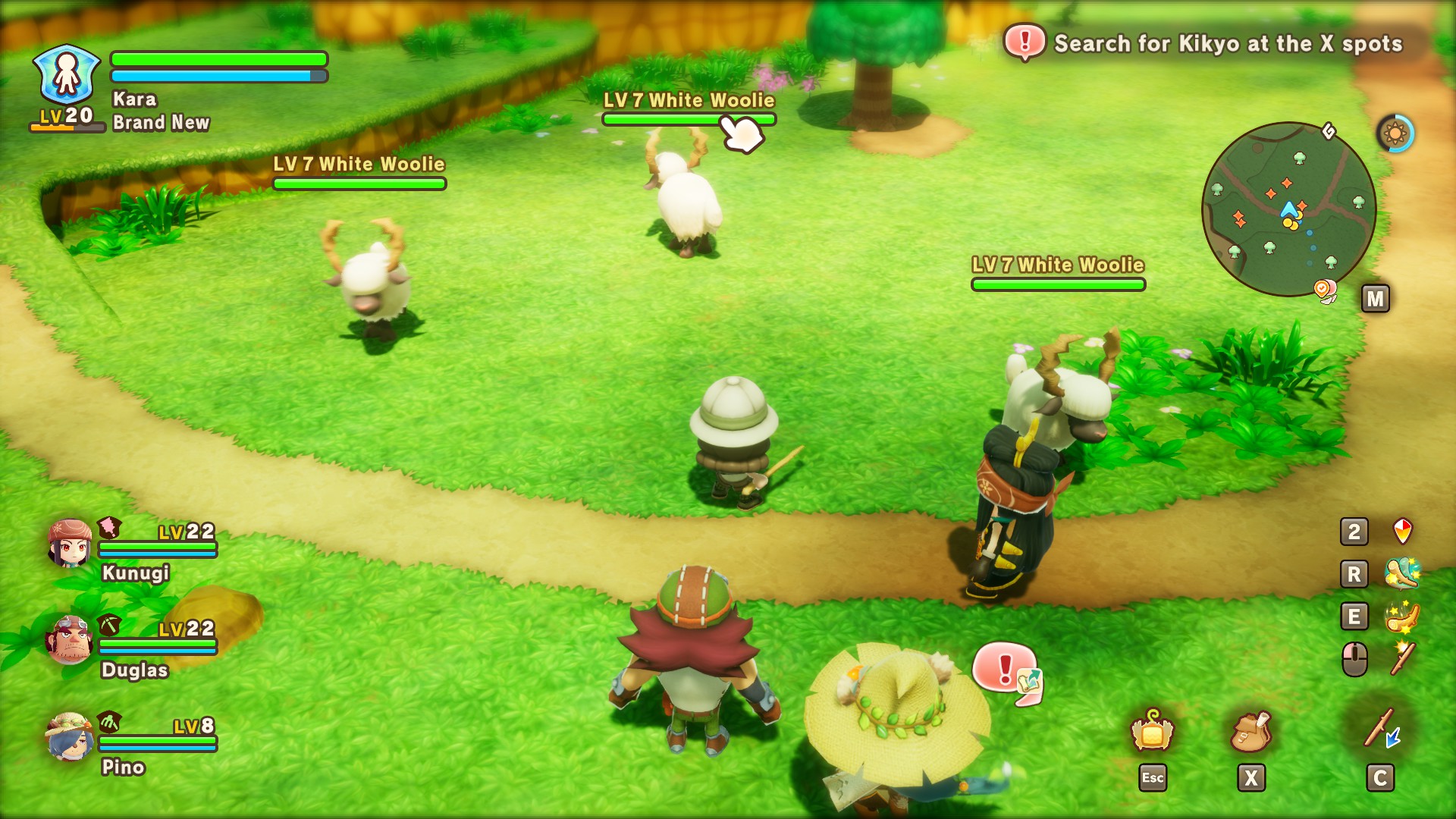 Woolies in Fantasy Life i West of the Capital