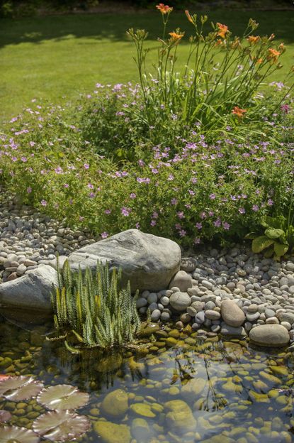 How to build a pond: a step by step expert guide | Homes & Gardens