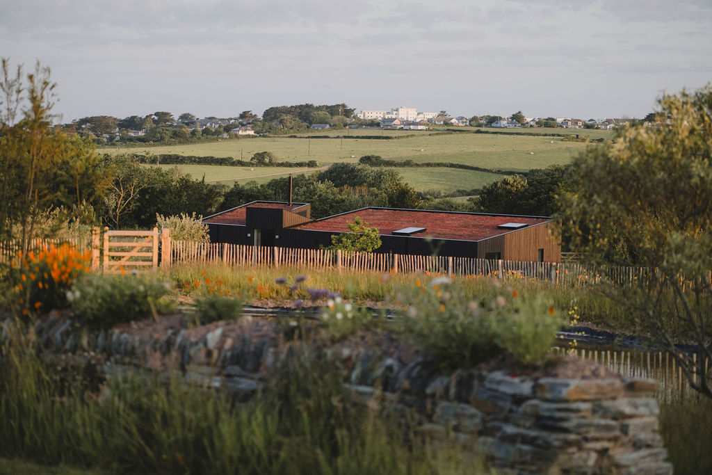 Cornish eco-cabin site by Darren Hawkes, leafy flowering meadow
