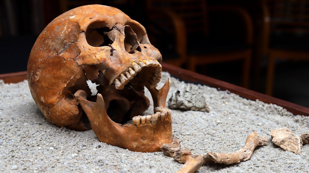 Here we see an old human skull, jawbone and a few other bones on a table.