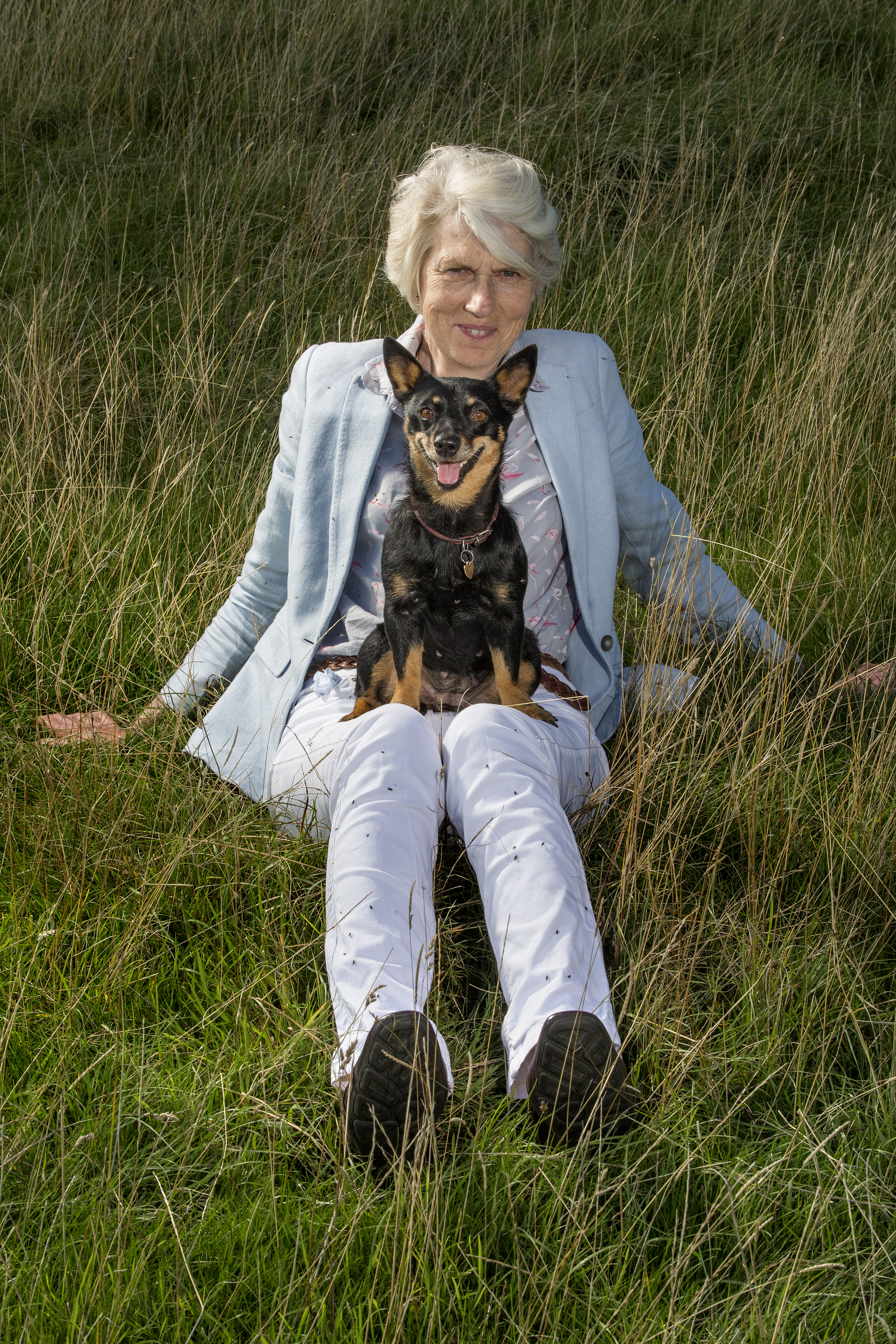 Four photos showing a woman with short white hair and a small black and tan Lancashire Heeler spending time together outdoors on a sunny day. They are pictured in front of a stately home, sitting on and beside large tree trunks, standing on grass terraces, and relaxing in long grass, capturing their close bond and the scenic surroundings.