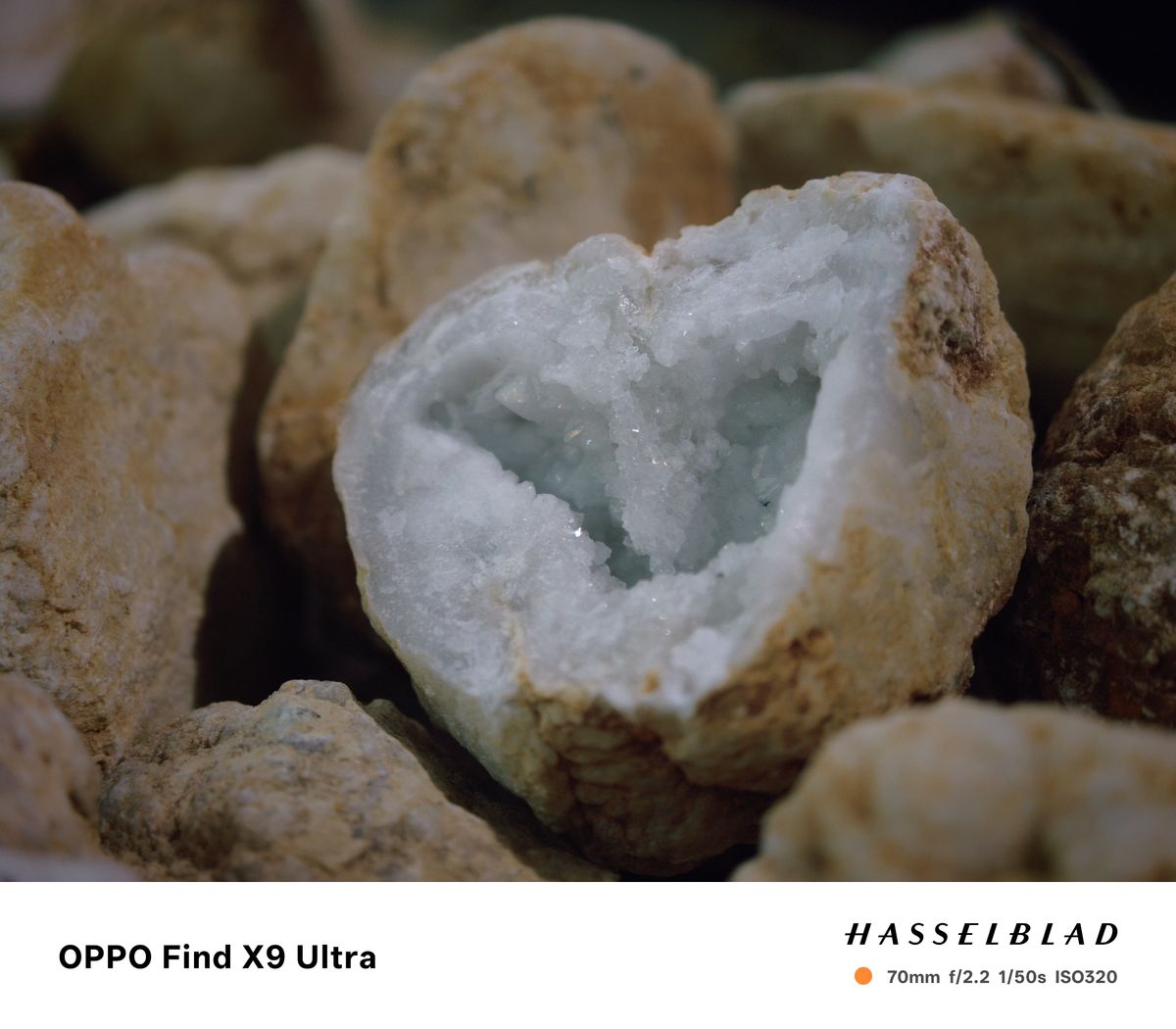 Oppo Find X9 Ultra Sample Photo