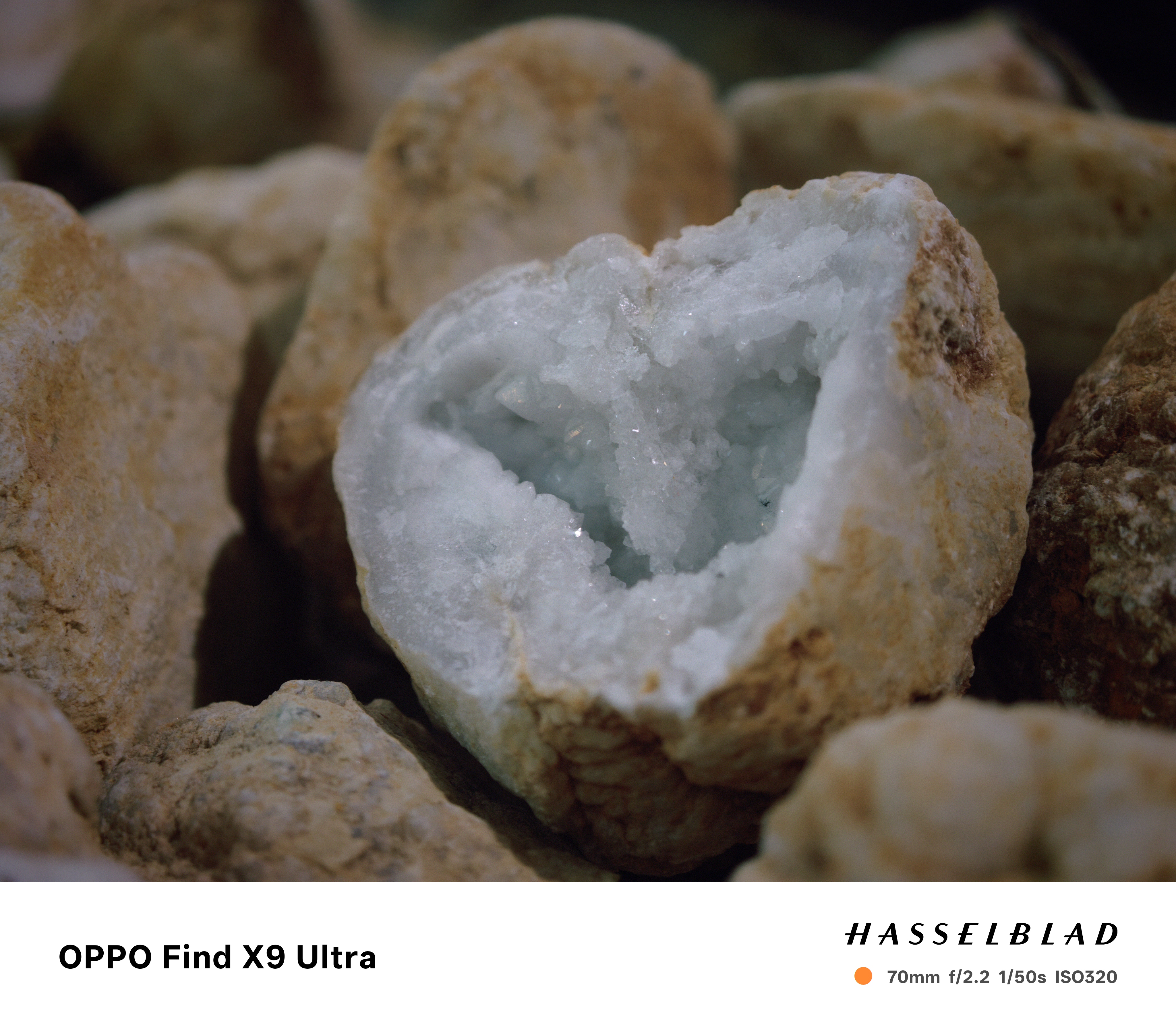 Oppo Find X9 Ultra Sample Photo