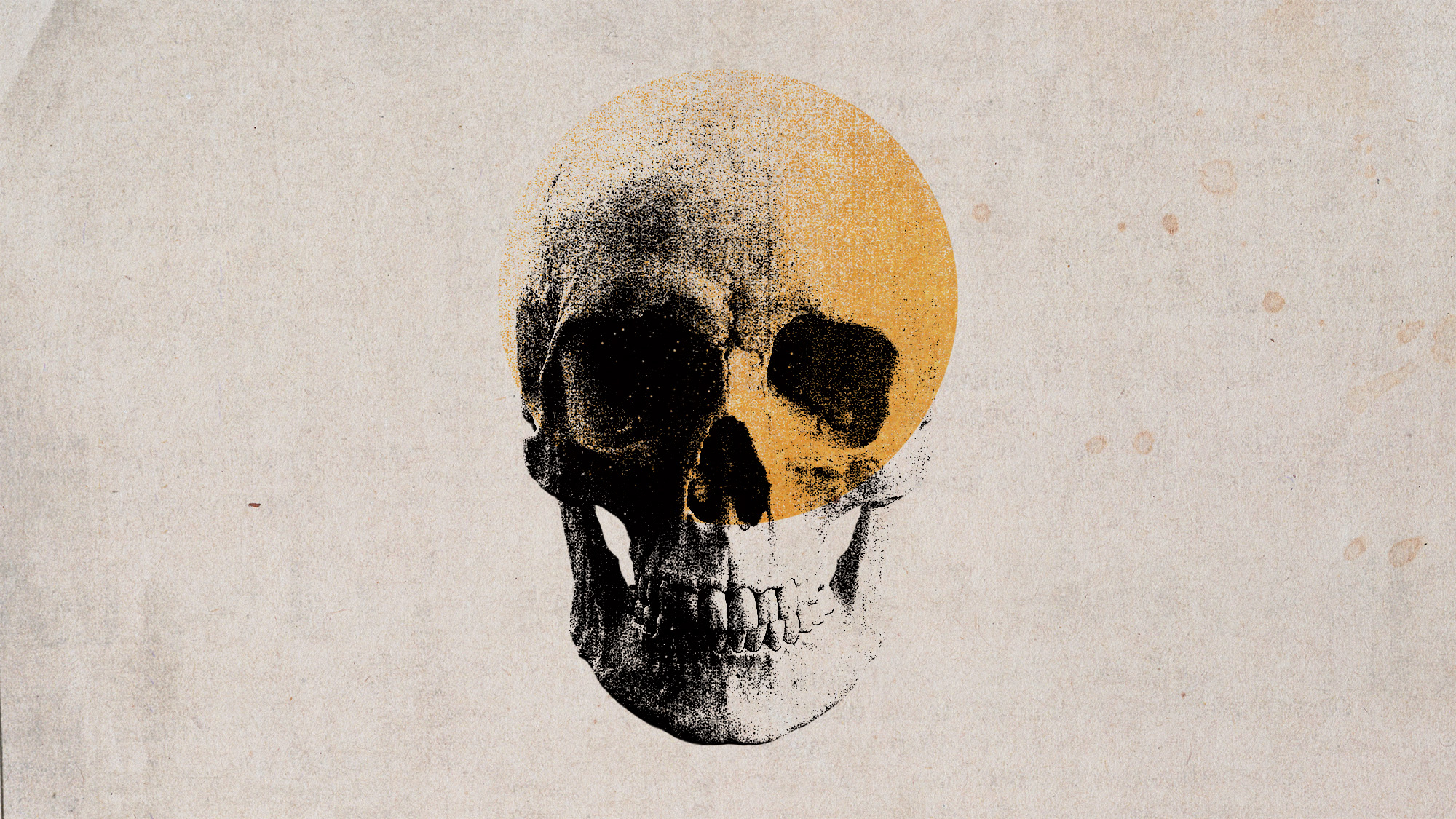 Photo collage of a skull and an orange pill
