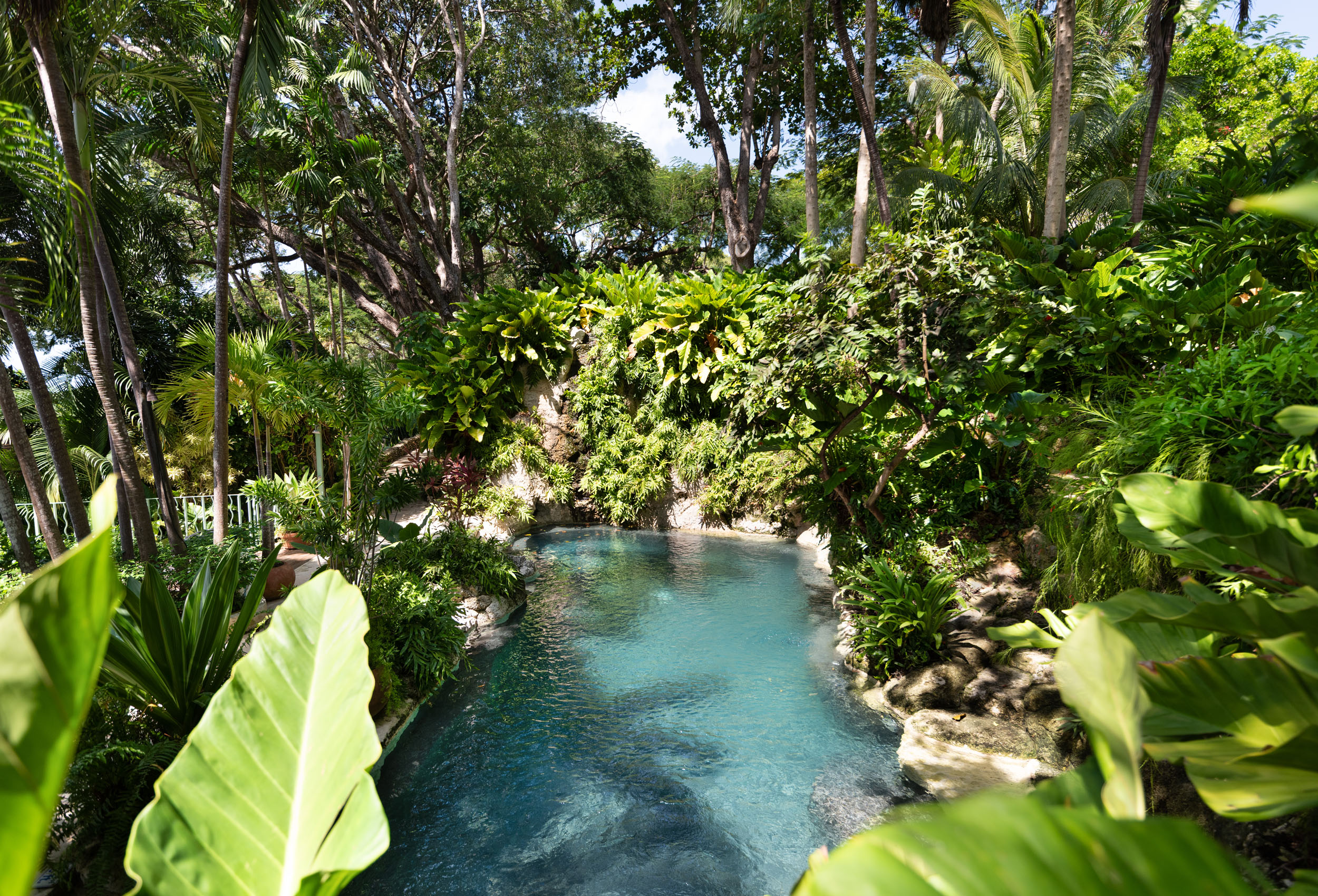 Fustic Estate on Barbados