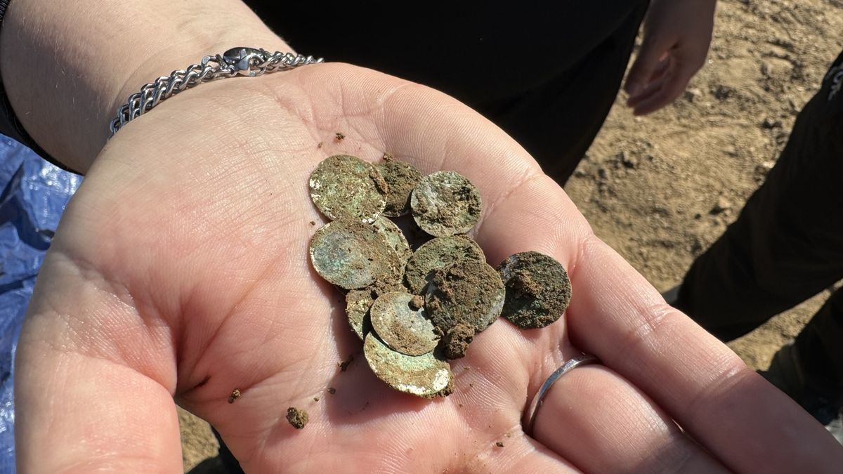 „Jackpot“ 2 000 raně středověkých mincí nalezený horalem v České republice