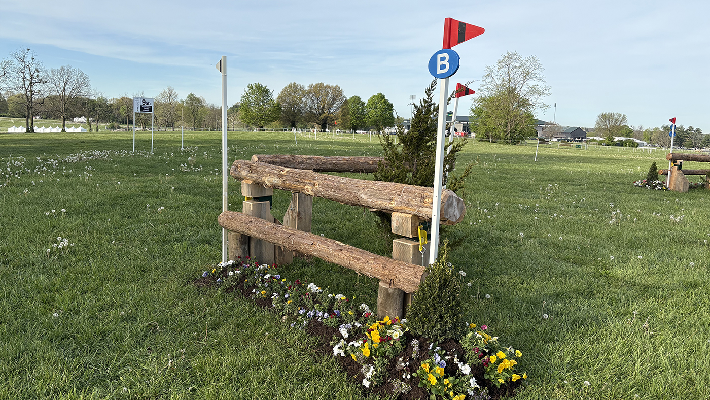 Fence9b