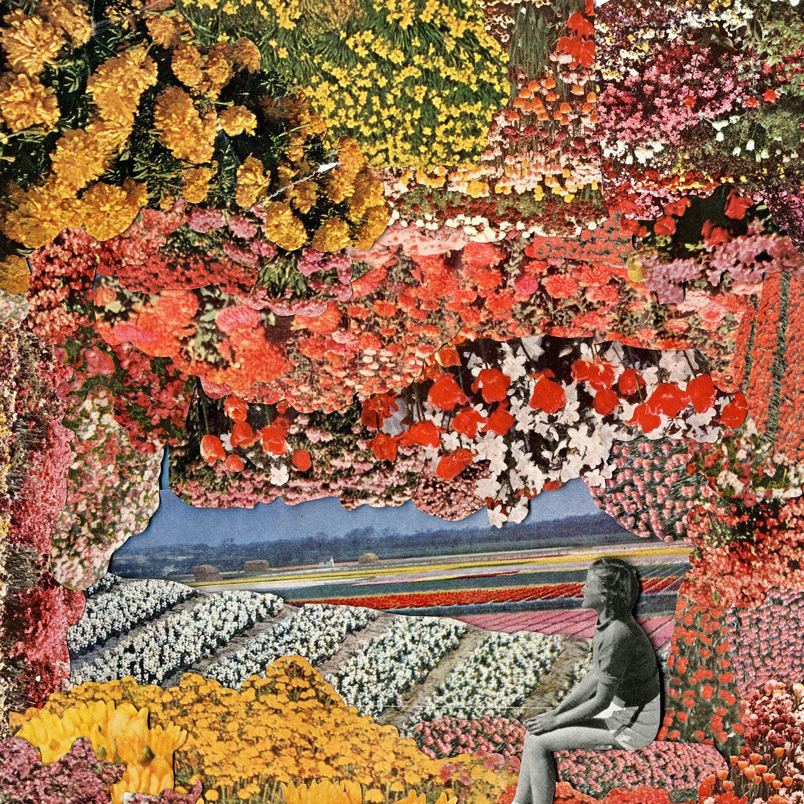 Leaf, Autumn, Tree, Art, Plant, Illustration, Spring, Deciduous, Painting, Tapestry,